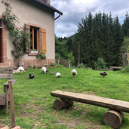 A l'orée de soi - Maison forestière de la Soie - Eco gîte, chambres d'hôtes, camping au pied des Vosges Saint-Sauveur  Exterior foto