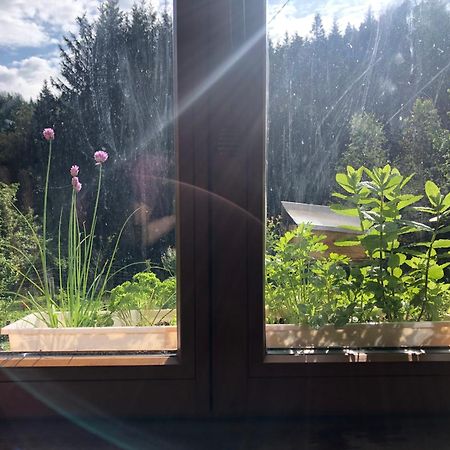 A l'orée de soi - Maison forestière de la Soie - Eco gîte, chambres d'hôtes, camping au pied des Vosges Saint-Sauveur  Exterior foto