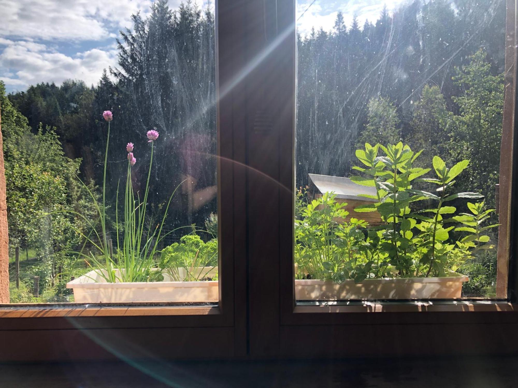 A l'orée de soi - Maison forestière de la Soie - Eco gîte, chambres d'hôtes, camping au pied des Vosges Saint-Sauveur  Exterior foto