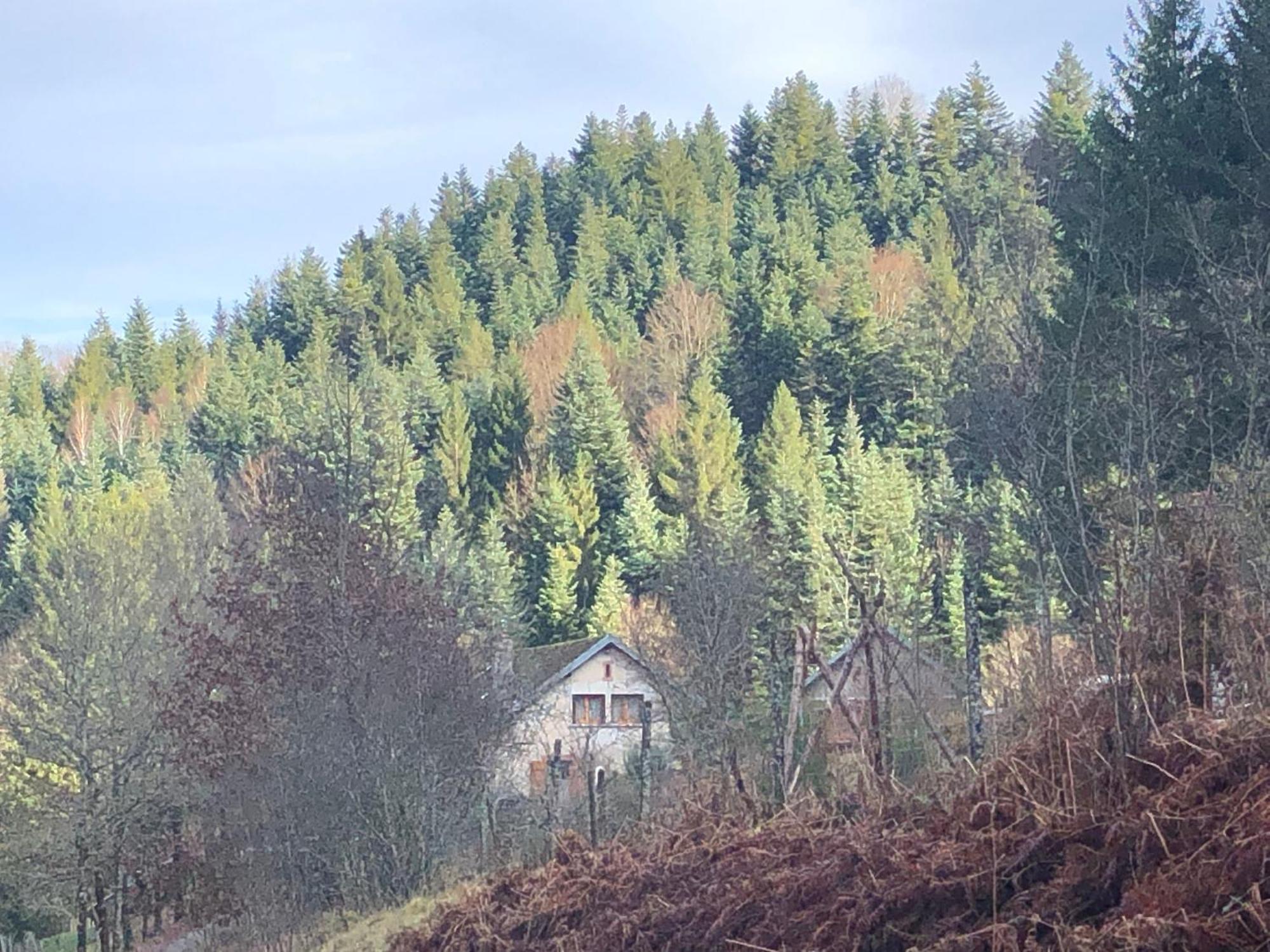 A l'orée de soi - Maison forestière de la Soie - Eco gîte, chambres d'hôtes, camping au pied des Vosges Saint-Sauveur  Exterior foto