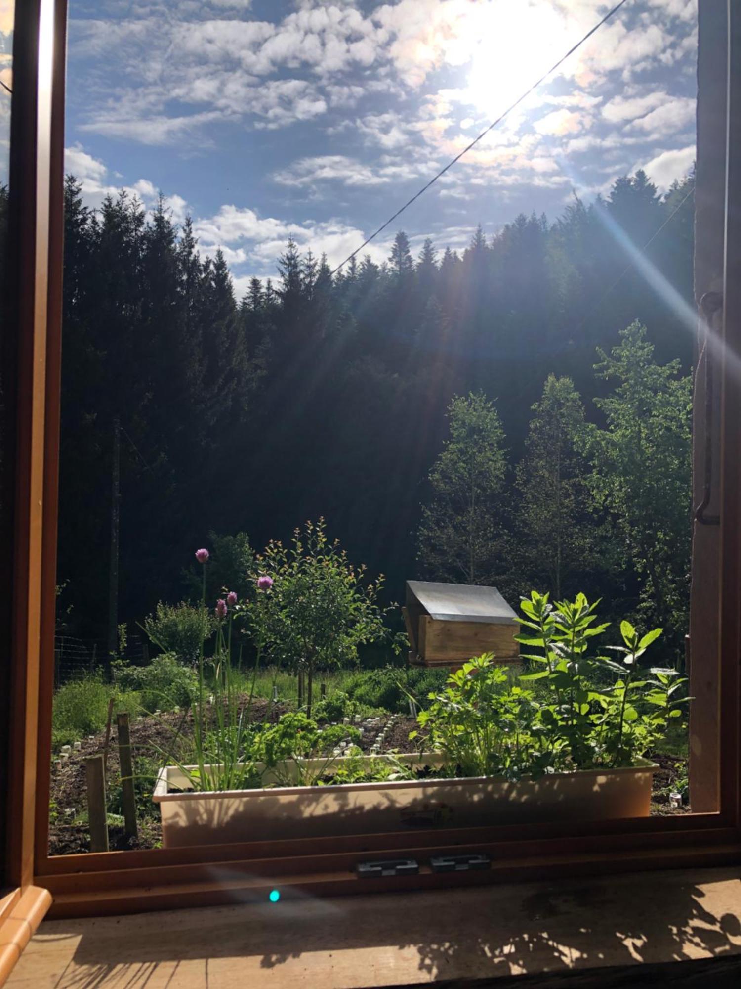 A l'orée de soi - Maison forestière de la Soie - Eco gîte, chambres d'hôtes, camping au pied des Vosges Saint-Sauveur  Exterior foto