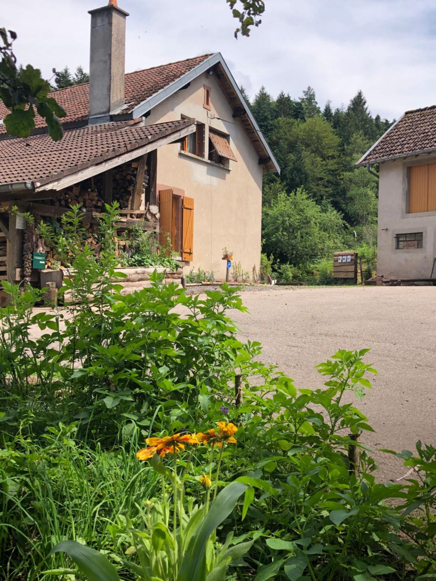 A l'orée de soi - Maison forestière de la Soie - Eco gîte, chambres d'hôtes, camping au pied des Vosges Saint-Sauveur  Exterior foto