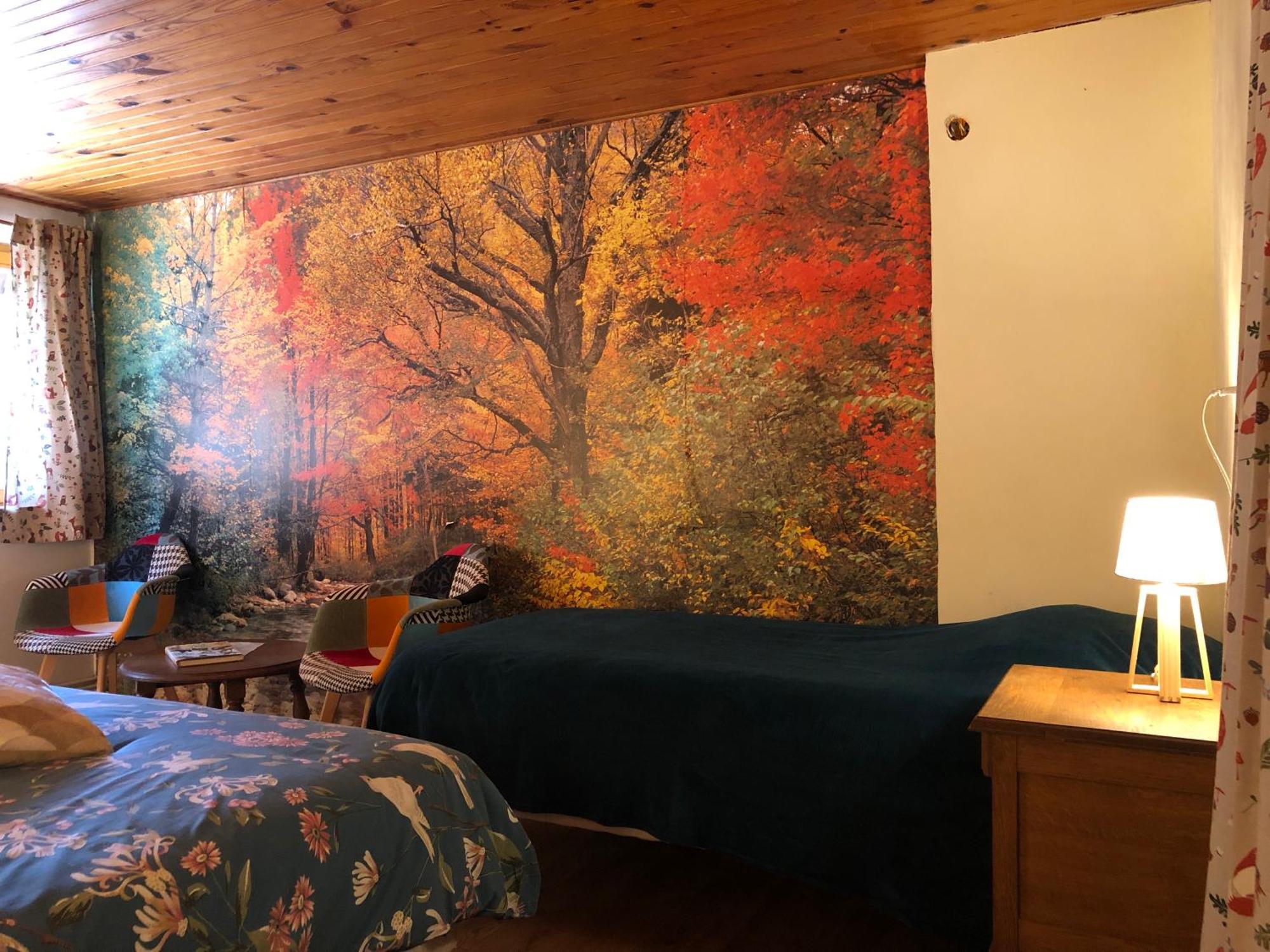 A l'orée de soi - Maison forestière de la Soie - Eco gîte, chambres d'hôtes, camping au pied des Vosges Saint-Sauveur  Exterior foto