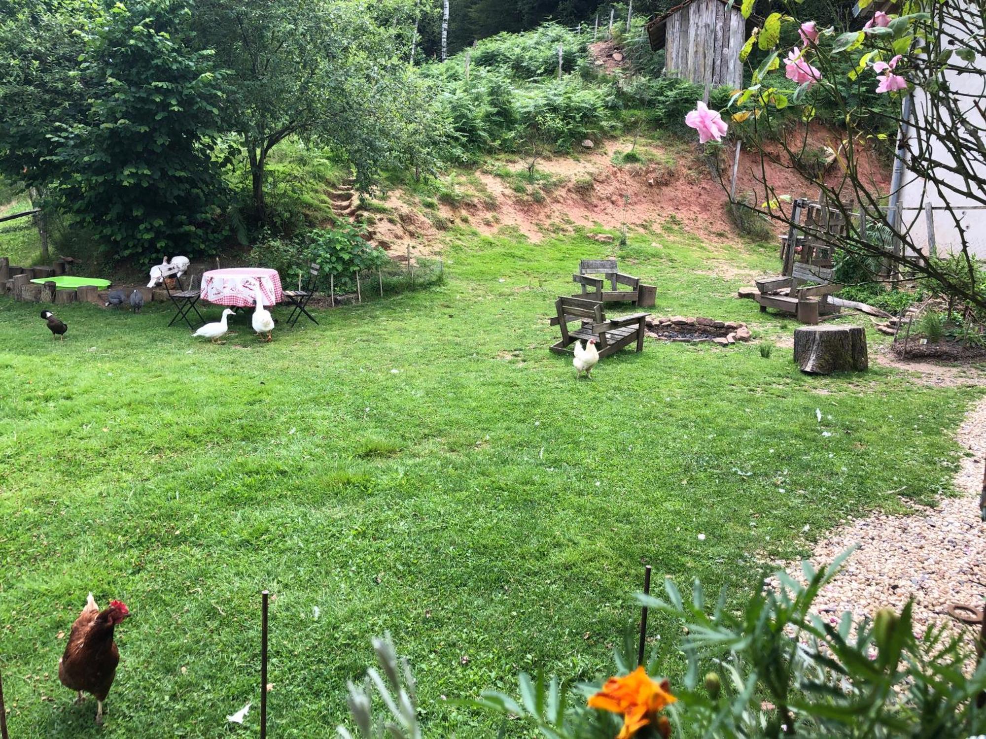 A l'orée de soi - Maison forestière de la Soie - Eco gîte, chambres d'hôtes, camping au pied des Vosges Saint-Sauveur  Exterior foto